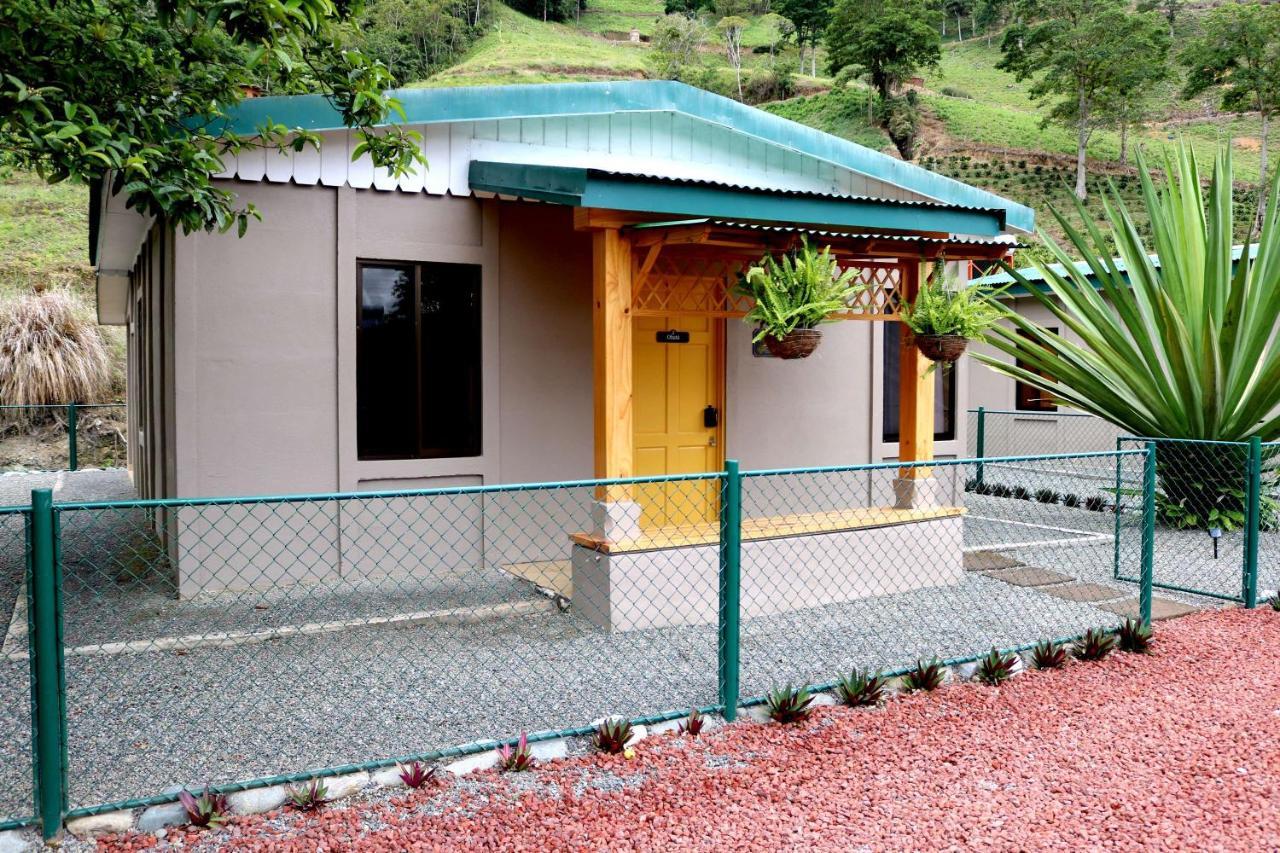 Coffee Pickers Village By Hacienda Orosi Cartago Eksteriør billede
